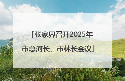 张家界召开2025年市总河长、市林长会议